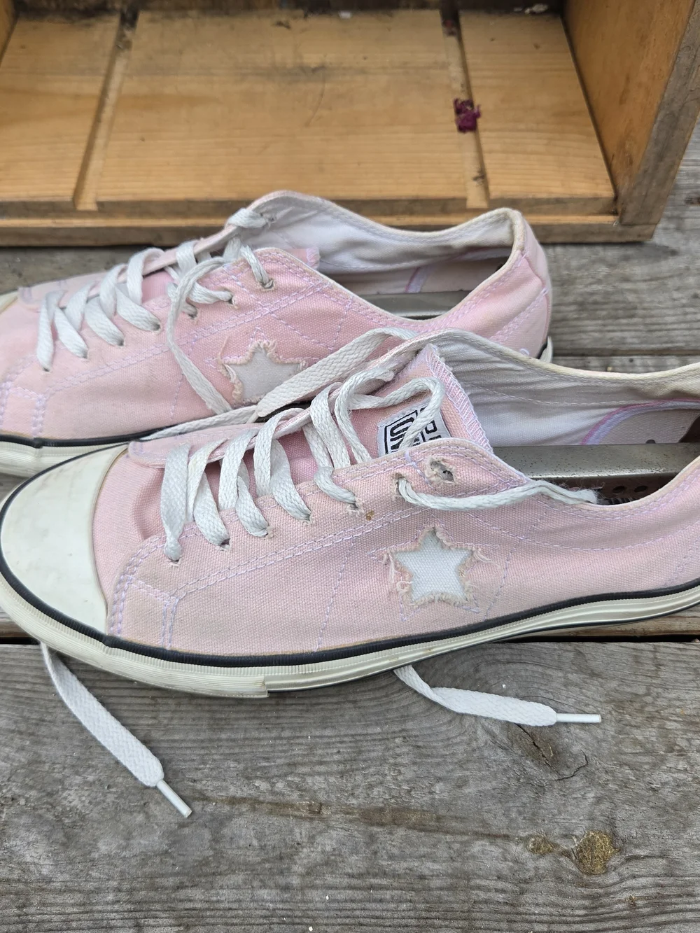 Converse Women's Pink Canvas Low-Top Sneakers